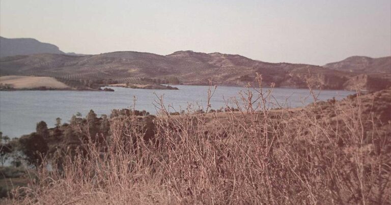 Facts About Asylum Claim Processes at Border