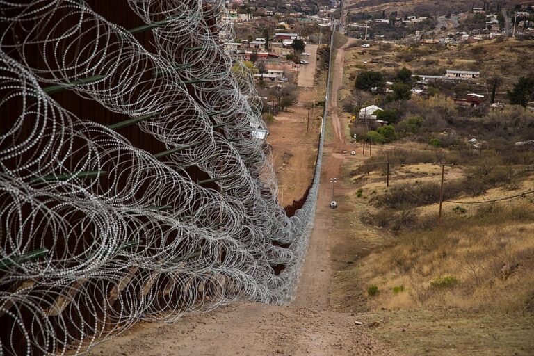 Border Security Crisis: Facts & Solutions