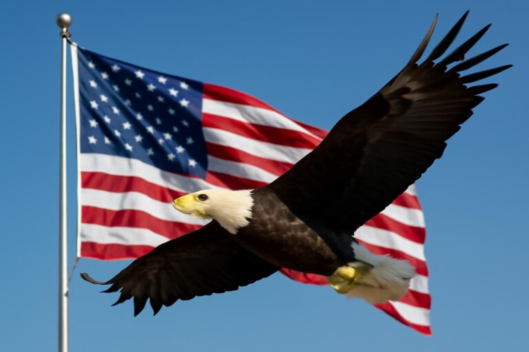 Trump Patriot Games